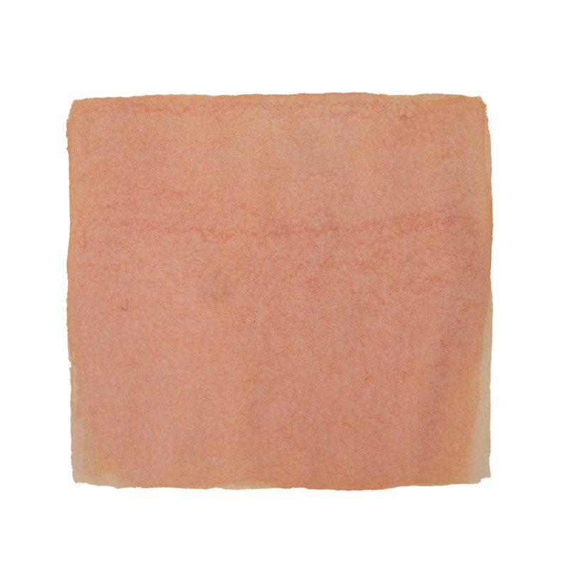 Pennonia Rági (Bubblegum) - 60ml Bottled Ink