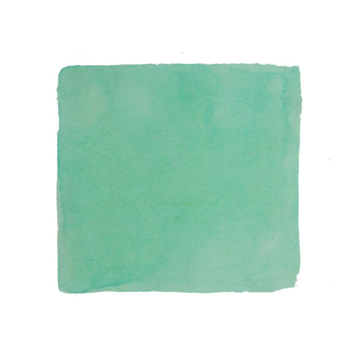 PENBBS No.409 Spring Lake - 2ml Ink Sample