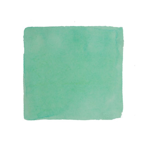 PENBBS No.409 Spring Lake - 2ml Ink Sample