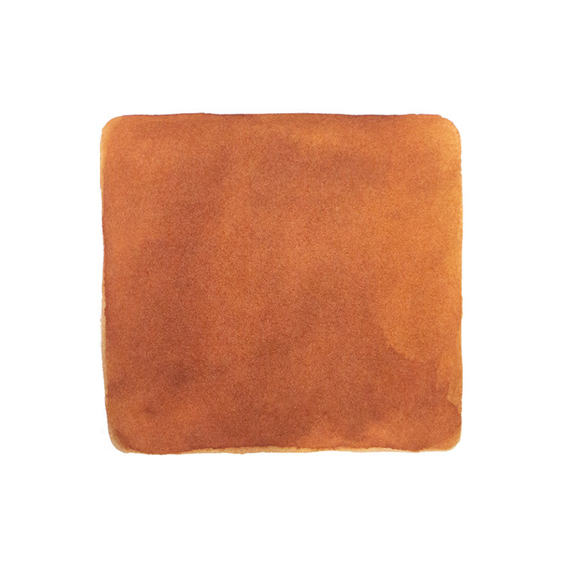 PENBBS No.439 Dun Huang fountain pen ink, 30ml. Features a warm brown-orange hue with a watercolor texture, reflecting Desk Bandit's diverse ink offerings.