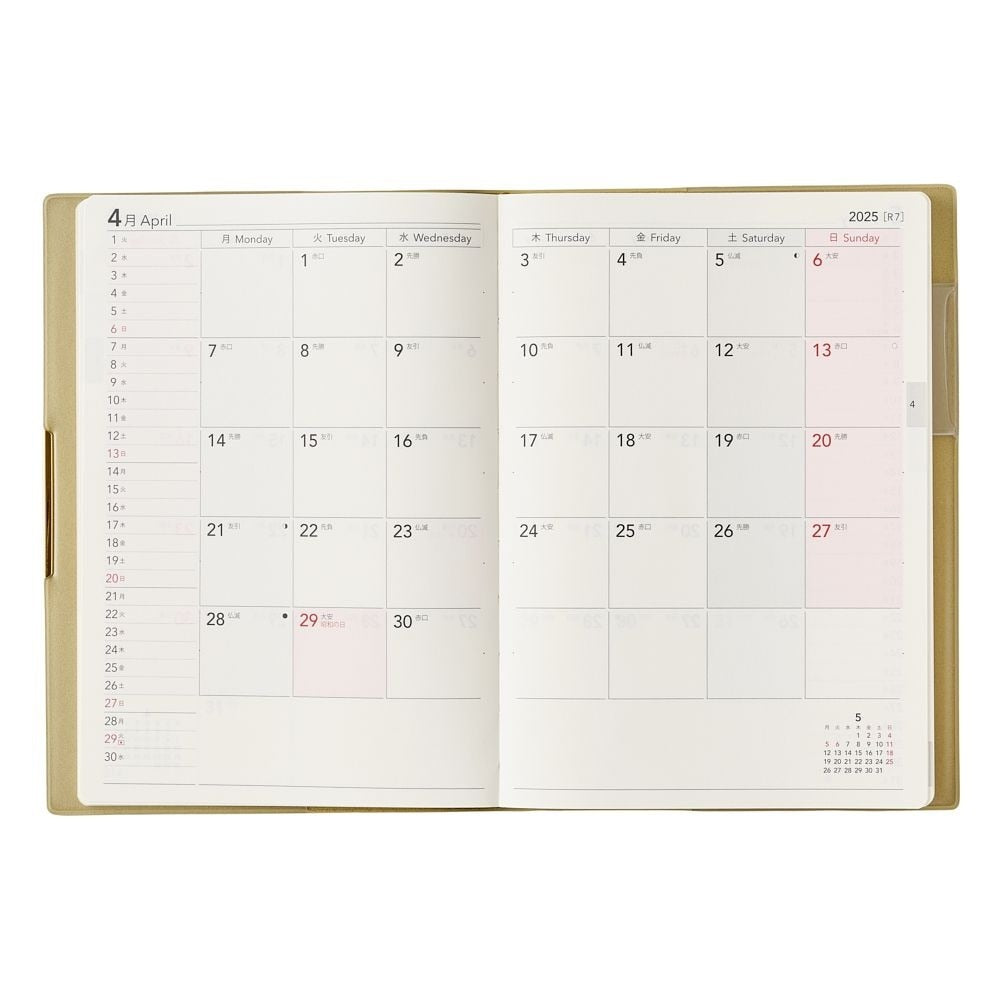 2025 Ecri Plus 8 Weekly Planner - B6 (Pistachio)