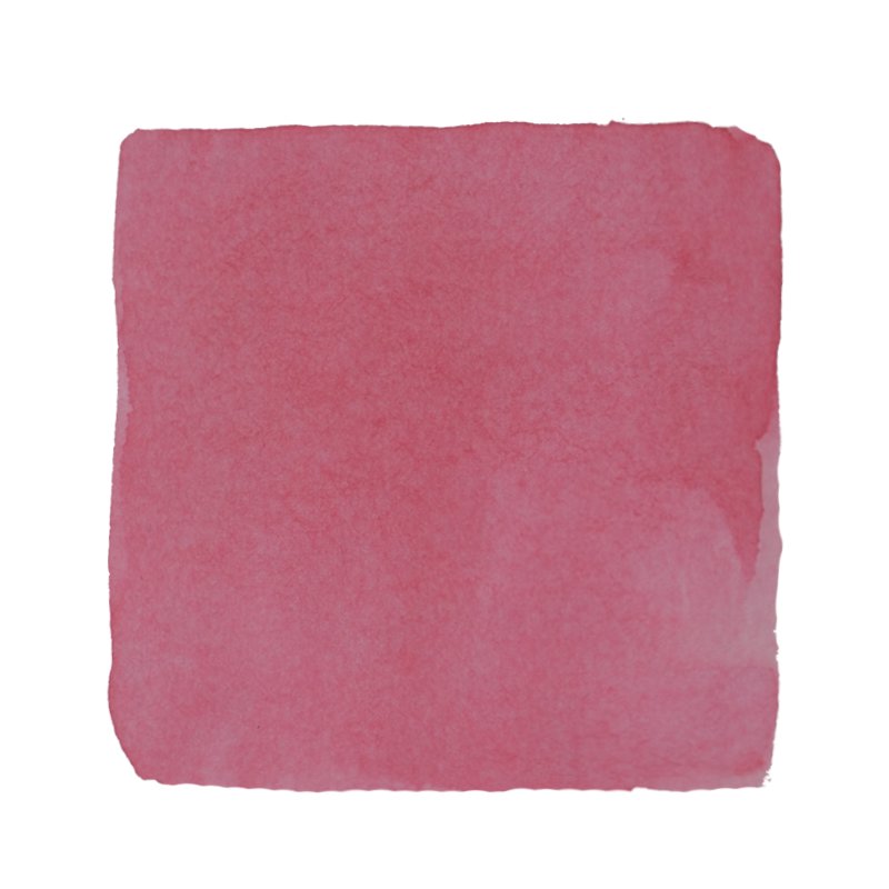 PENBBS No.503 Awaken from Hibernation - 35ml Bottled Ink