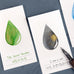 Wearingeul Ink Drop Swatch Cards show green, dark-grey/gold-sheen, and partial blue teardrop ink samples, highlighting fountain pen ink characteristics on 5x9 cm cards.