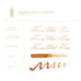 Ferris Wheel Press Ink Charger Set - The Southern Charm Collection features Terracotta Canyon ink samples with fine and medium nib fountain pens, and glass dip pen tests.
