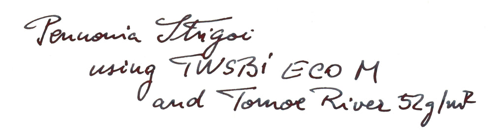 Pennonia Strigoi (Limited Edition) fountain pen ink swatch on Tomoe River paper, tested with TWSBI ECO medium nib, 30ml bottle.