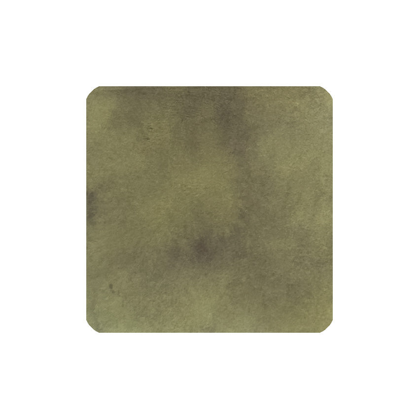 Tono & Lims Bechorium Ion fountain pen ink, 30ml, dye-based, features an abstract olive-green watercolor texture, part of the 'Friendship' series from Desk Bandit.