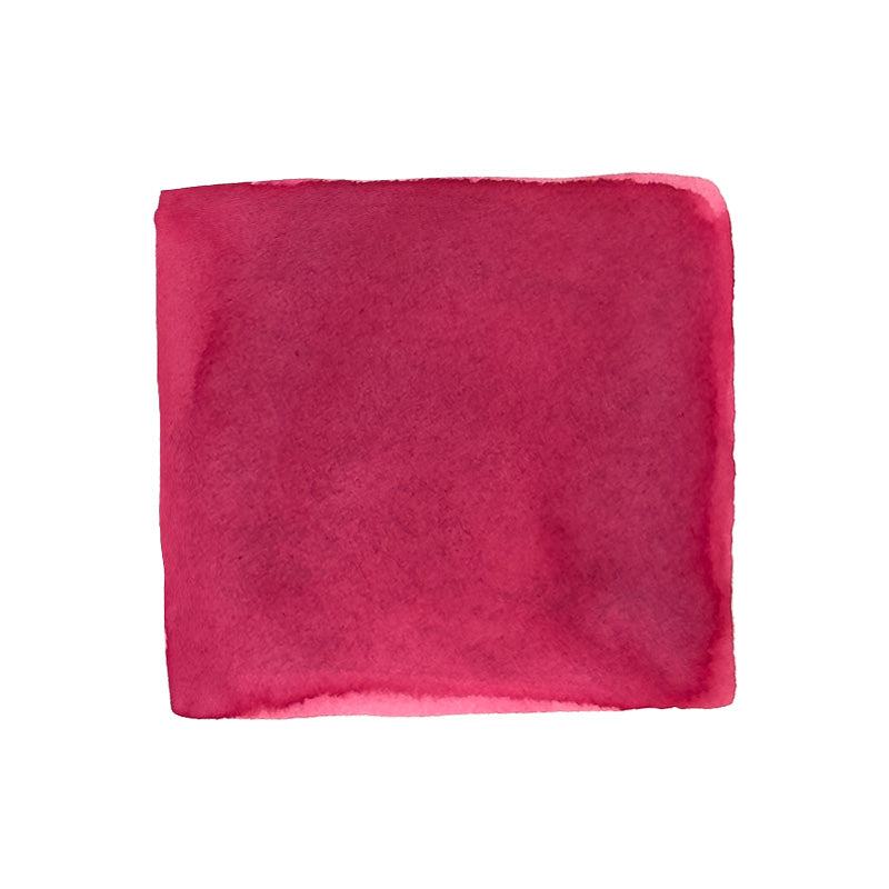 Colorverse Project Ink No.063 Camellia fountain pen ink swatch, showing rich reddish-pink watercolor texture and variations on a white background.