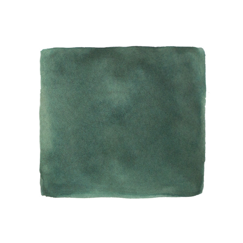 Ferris Wheel Press Ink Charger Set - The Southern Charm Collection features a muted green Dancing Thyme fountain pen ink, showcasing its soft, mottled texture.