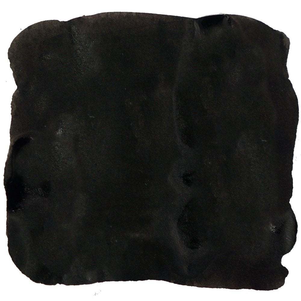 Eel Black - 2ml ink bottle, featuring an amorphous black shape with soft edges, representing Noodler's Ink's archival, dye-based ink for versatile writing needs.