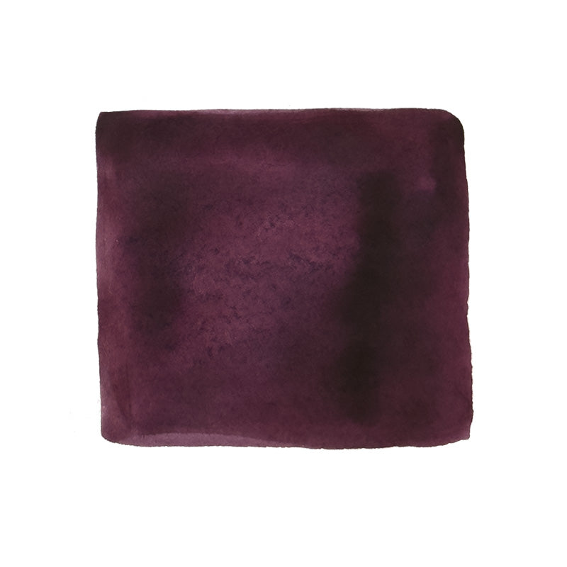 Colorverse Project Ink No.061 Egg Cockle - 15ml fountain pen ink, featuring a maroon watercolor swatch with soft edges, reflecting premium plant-based dye quality.