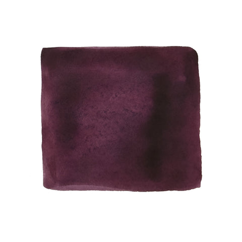 Colorverse Project Ink No.061 Egg Cockle - 15ml fountain pen ink, featuring a maroon watercolor swatch with soft edges, reflecting premium plant-based dye quality.