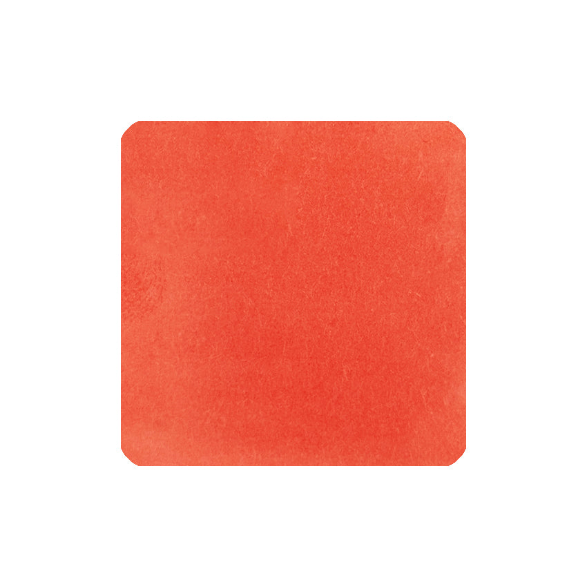 Fidelity (Fukuoka Special) - 30ml ink by Tono & Lims, featuring a warm reddish-orange shade, part of their exclusive 'Fukuoka Special 2025' series.