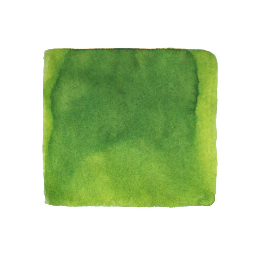 Robert Oster Frankly Green - 2ml Ink Sample