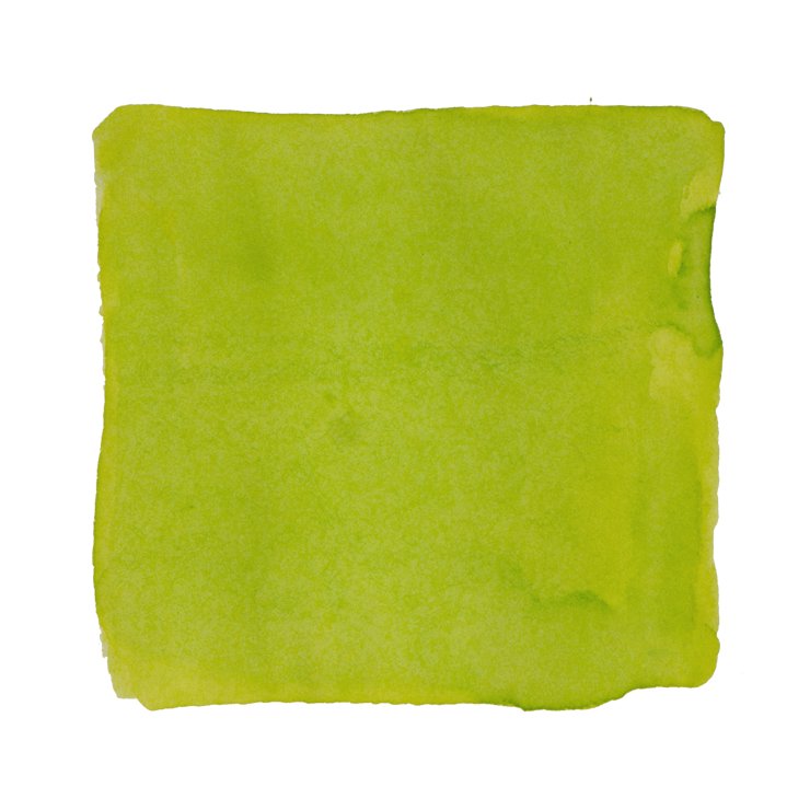 Ferris Wheel Press Frivolous Lime - 38ml Bottled Ink