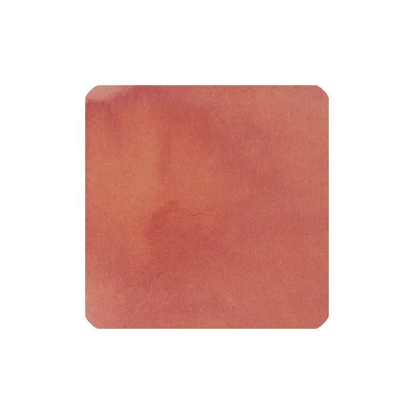Funeral Procession of Roses薔薇の葬列 - 2ml ink sample, featuring a warm terracotta-red watercolor wash, embodying Tono & Lims’ vibrant, niche ink collection.