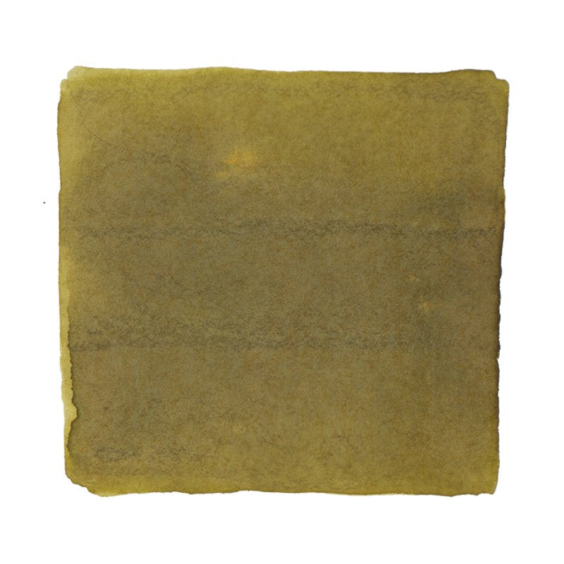 Ferris Wheel Press Goose Poupon - 38ml Bottled Ink