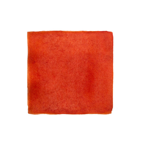 KWZ Ink Grapefruit fountain pen ink, 60ml. Textured red-orange swatch. Unique, handcrafted dye-based ink with distinct color and writing properties.