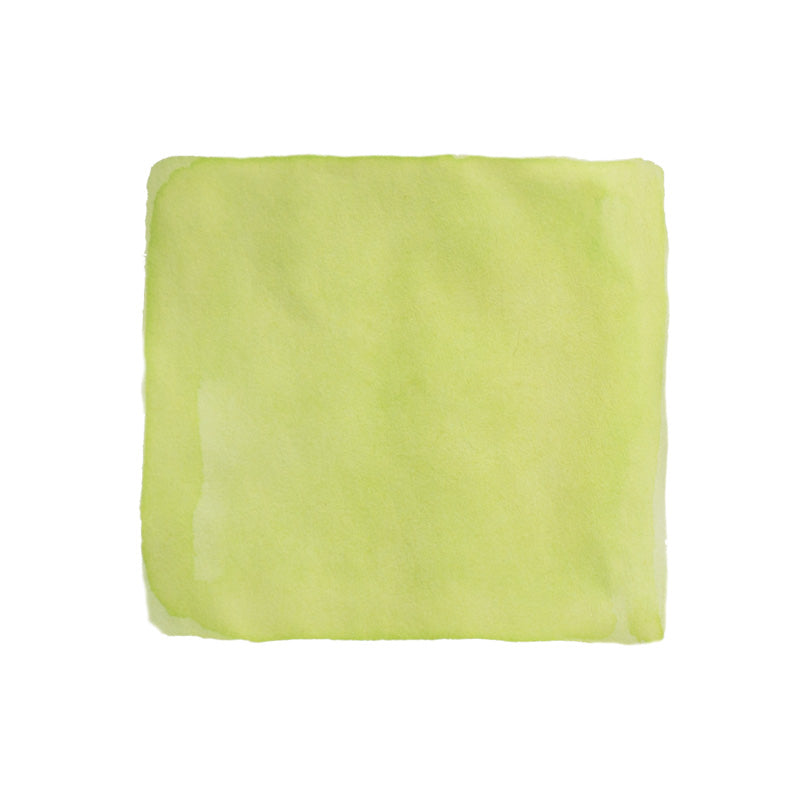 Colorverse Project Ink No.050 Green Tea, 15ml fountain pen ink, features a pale lime-green wash, ideal for smooth, plant-based writing experiences.