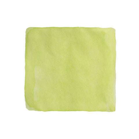 Colorverse Project Ink No.050 Green Tea, 15ml fountain pen ink, features a pale lime-green wash, ideal for smooth, plant-based writing experiences.