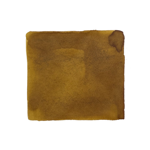 Colorverse Project Ink No.059 Horizon - 15ml, a plant-based, muted mustard-brown fountain pen ink, displayed in an organic, hand-painted swatch.