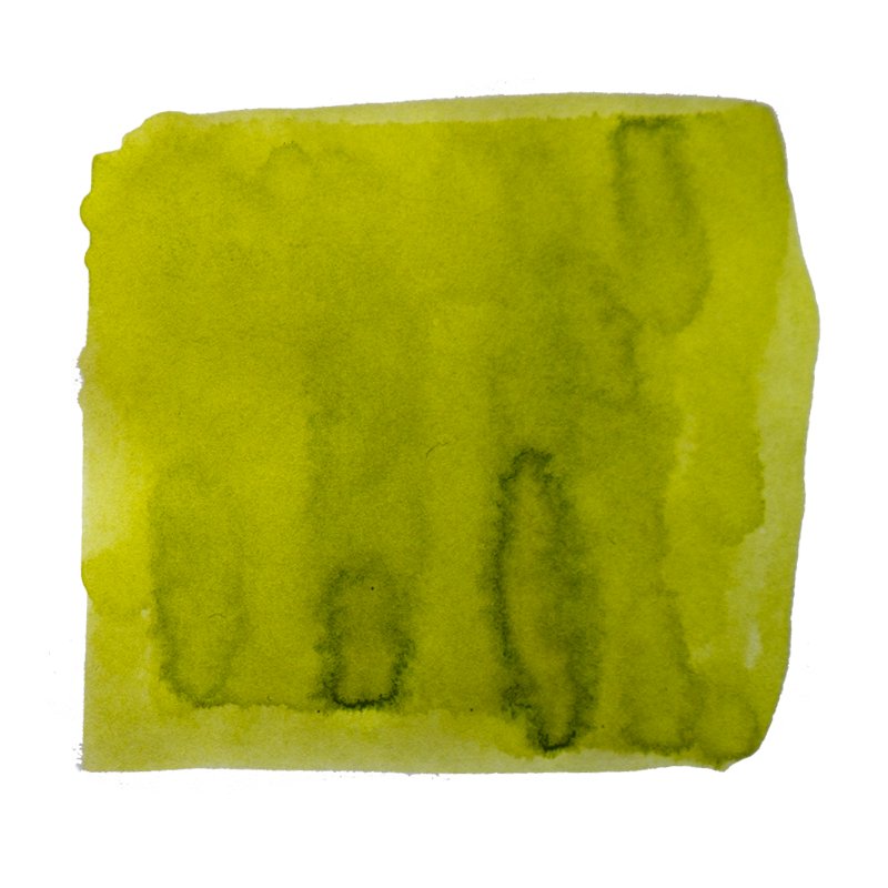 Hyogo (True Story) - 2ml ink, features a chartreuse watercolor wash on white, showcasing Tono & Lims' dye-based collection from South Korea.