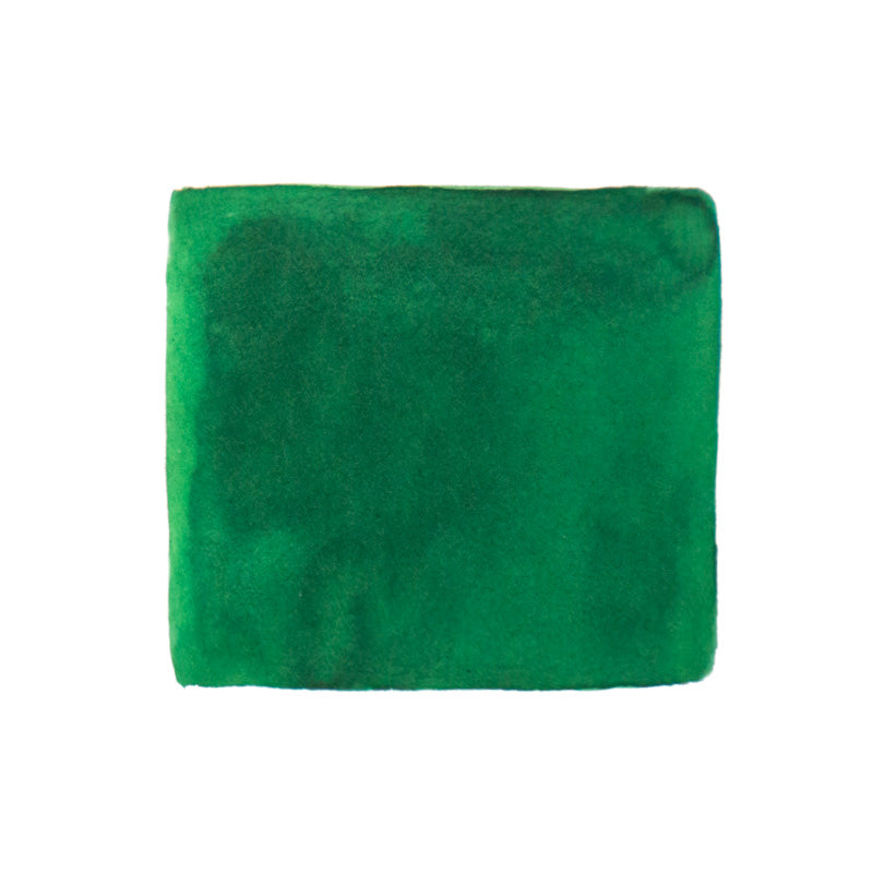 Jacques Herbin Lierre Sauvage - 30ml dye-based fountain pen ink, shown as a solid-green, soft-textured material swatch, reflecting its rich Wild Ivy Green color.