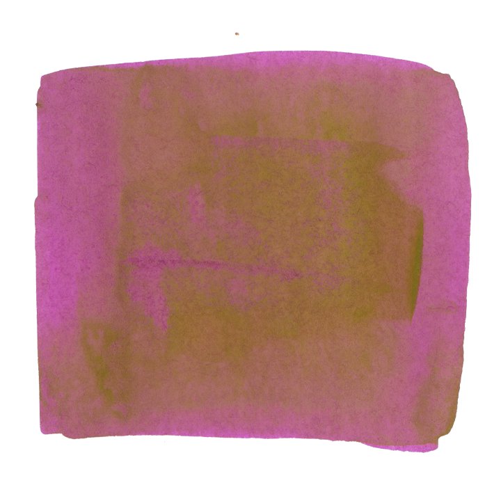 Vinta Inks Malayan Apple (Makopa 1938) - 30ml Bottled Ink