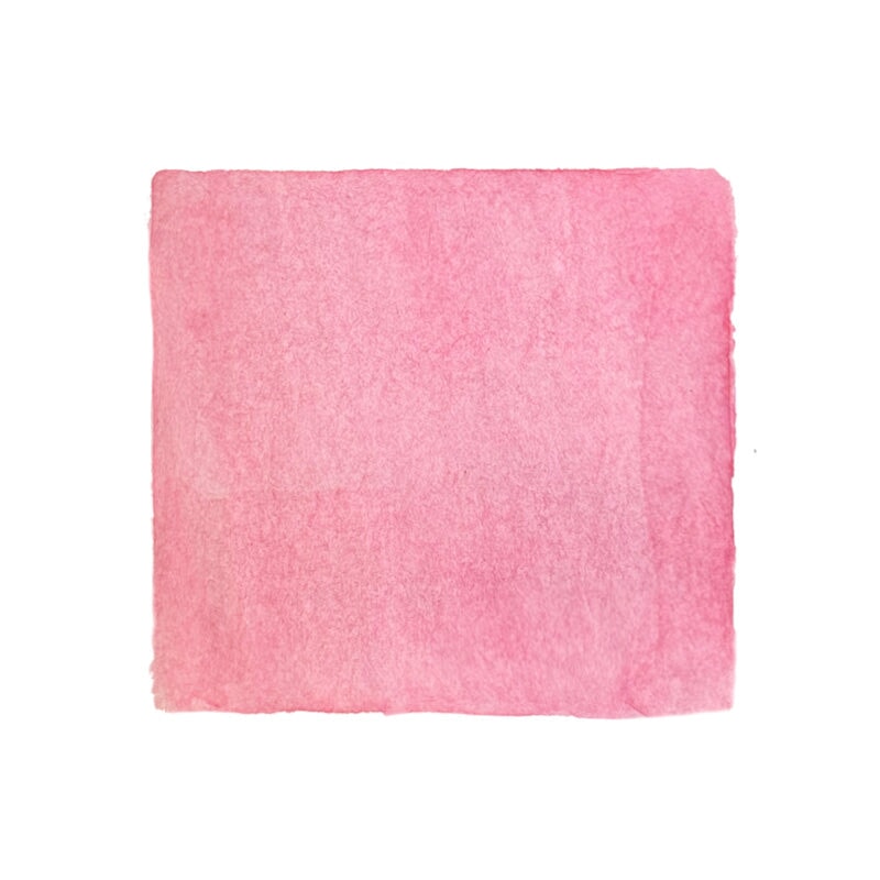 Ferris Wheel Press Malibu Blush - 38ml Bottled Ink