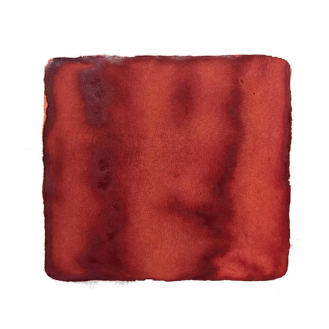 Methuselah Tree - 2ml: A watercolor swatch of rusty red pigment with tonal variations, showcasing the plant-based, dye-based Colorverse ink sample.