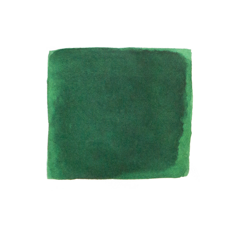 PENBBS No.542 Green Within Orchids fountain pen ink, 30ml bottle. The swatch shows a green watercolor wash with subtle tonal variations and uneven edges.