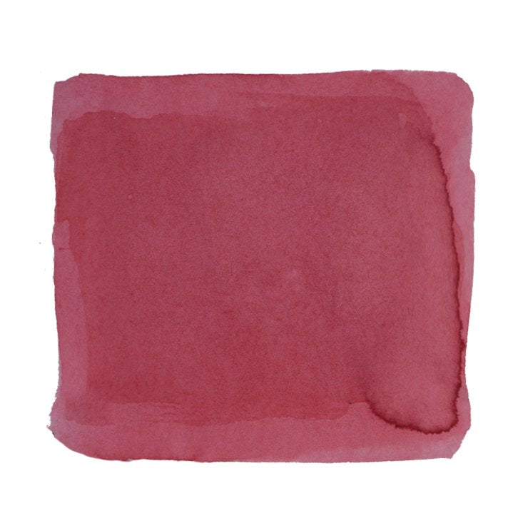 Ferris Wheel Press Pink Eraser - 38ml Bottled Ink