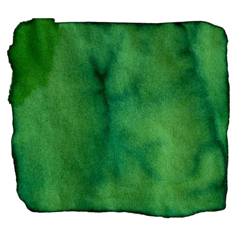 Abstract green watercolor resembling Robert Oster's Green Lime ink sample, with soft edges and tonal variations. 2ml dye-based ink, perfect for vibrant writing.