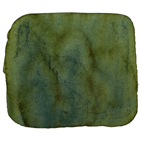 Ink Studio #370 - 2ml features a muted green swatch, showcasing Sailor's expertly curated dye-based ink collection in a compact sample size.