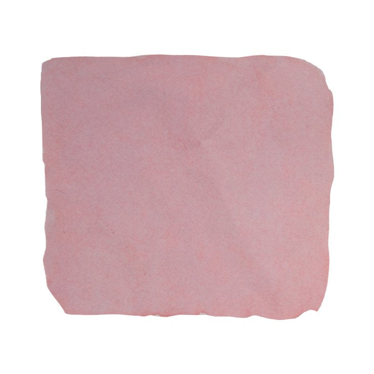 Ferris Wheel Press Strawberry Macaron - 38ml Bottled Ink