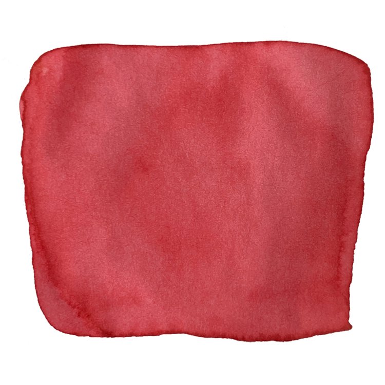 Sushi - 2ml ink sample: A deep red, watercolor-like swatch with soft edges, showcasing the vibrant hue of Robert Oster's fountain pen ink.