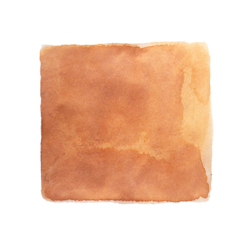 Ferris Wheel Press Terracotta Canyon - 38ml Bottled Ink