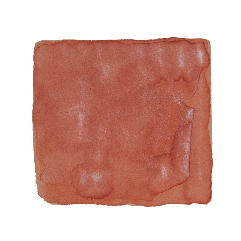 Ferris Wheel Press Wonderland in Coral - 38ml Bottled Ink