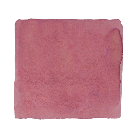 Project Ink No.009 α Boo - 2ml