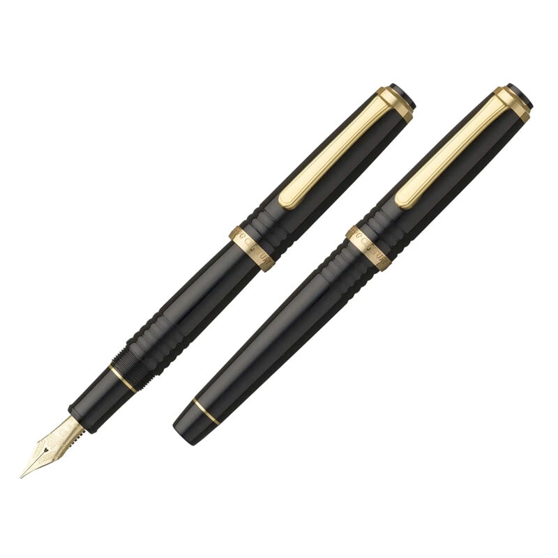 Platinum 10th Anniversary Limited Edition #3776 - Fine Fountain Pen