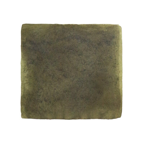 Robert Oster Muddy Grass - 2ml Ink Sample