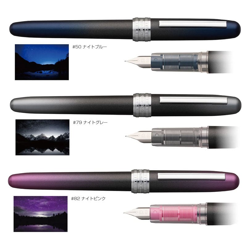 Platinum 10th Anniversary Plaisir - Fine (Night Gray) Fountain Pen