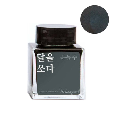 Wearingeul Shoot the Moon - 30ml Bottled Ink