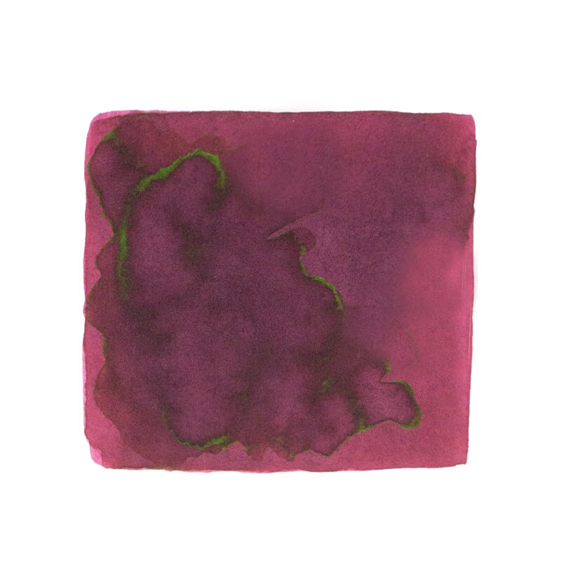 Wearingeul A Taxidermied Genius - 30ml Bottled Ink