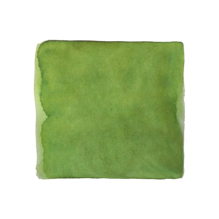 Pennonia Kárpátzöld (Carpathian Green) - 60ml Bottled Ink
