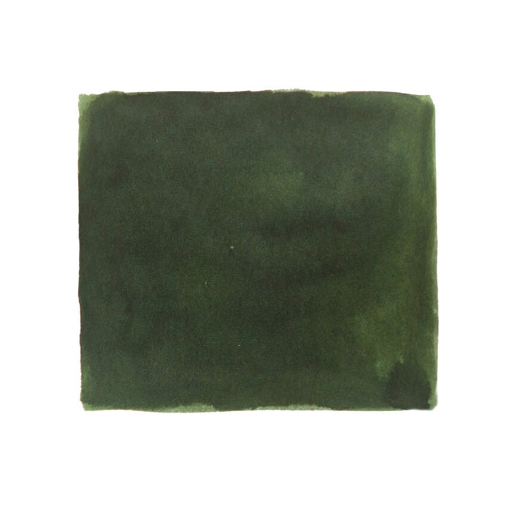 Pennonia Fenyves (Boreal Forest) - 60ml Bottled Ink