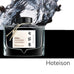 Pilot Iroshizuku 100th Anniversary - Hoteison (4ml) Ink Sample