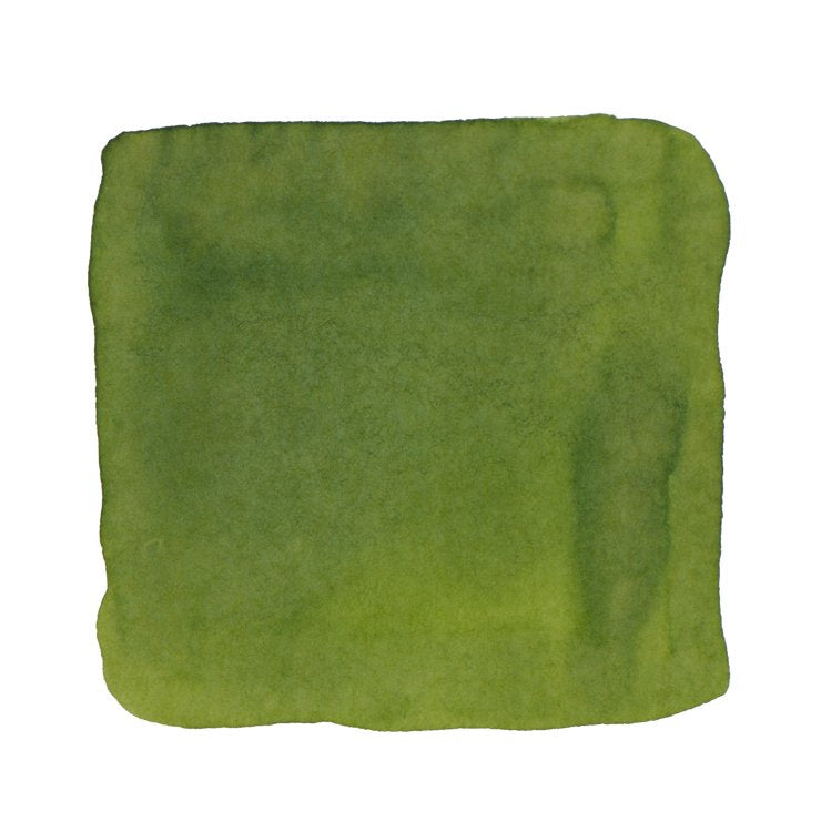 PENBBS No.159 Wakaba - 2ml Ink Sample