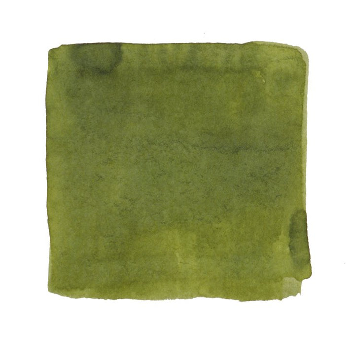 PENBBS No.224 Tolstoy - 2ml Ink Sample