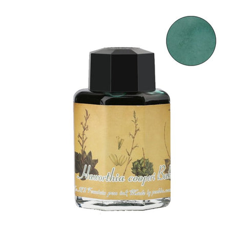 PENBBS No.272 Haworthia Cooperi - 60ml Bottled Ink