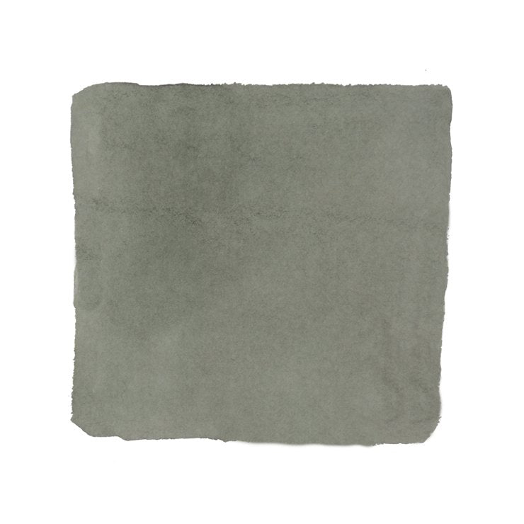 PENBBS No.375 Qing Qing Zi Jin - 2ml Ink Sample